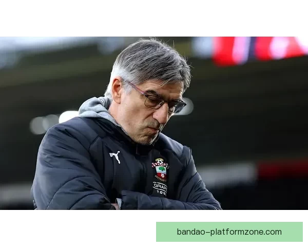 南安普顿主帅：下半场换人调整带来胜利 我们配得上这场胜利